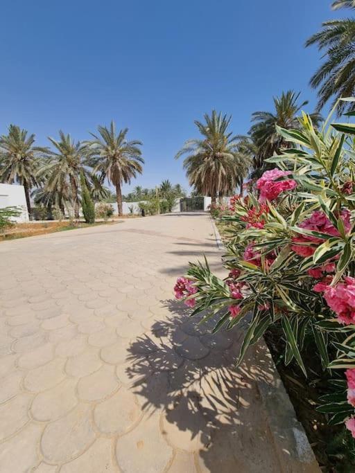 Вілла Dar Jamila - Au Coeur De L'Oasis - Gabes Екстер'єр фото
